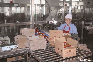 帝华味精打造辽西最大调味品生产企业